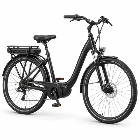 Иллюстрация Wellness Cross Rack
